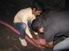 img_0242 img_0242
