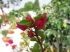 img_0798 img_0798