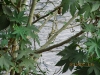 img_0283 img_0283