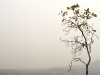 img_1027 img_1027